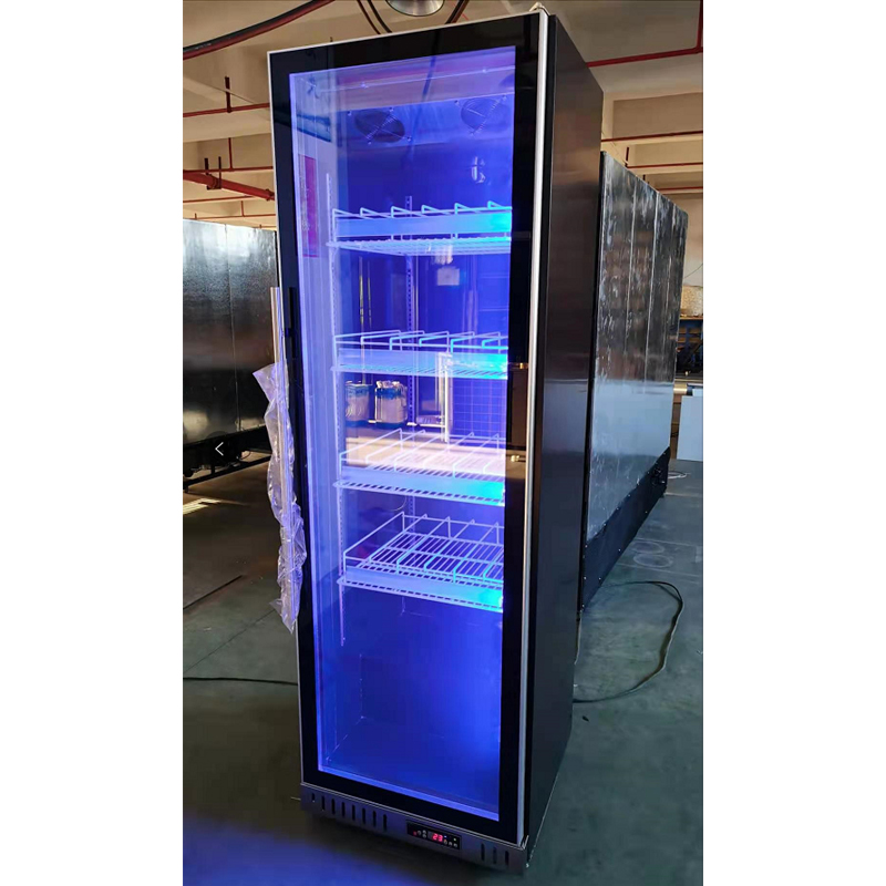 Custom Large Red Wine Cooler R - Wine Beer Fridge Cabinet recensie en prijs